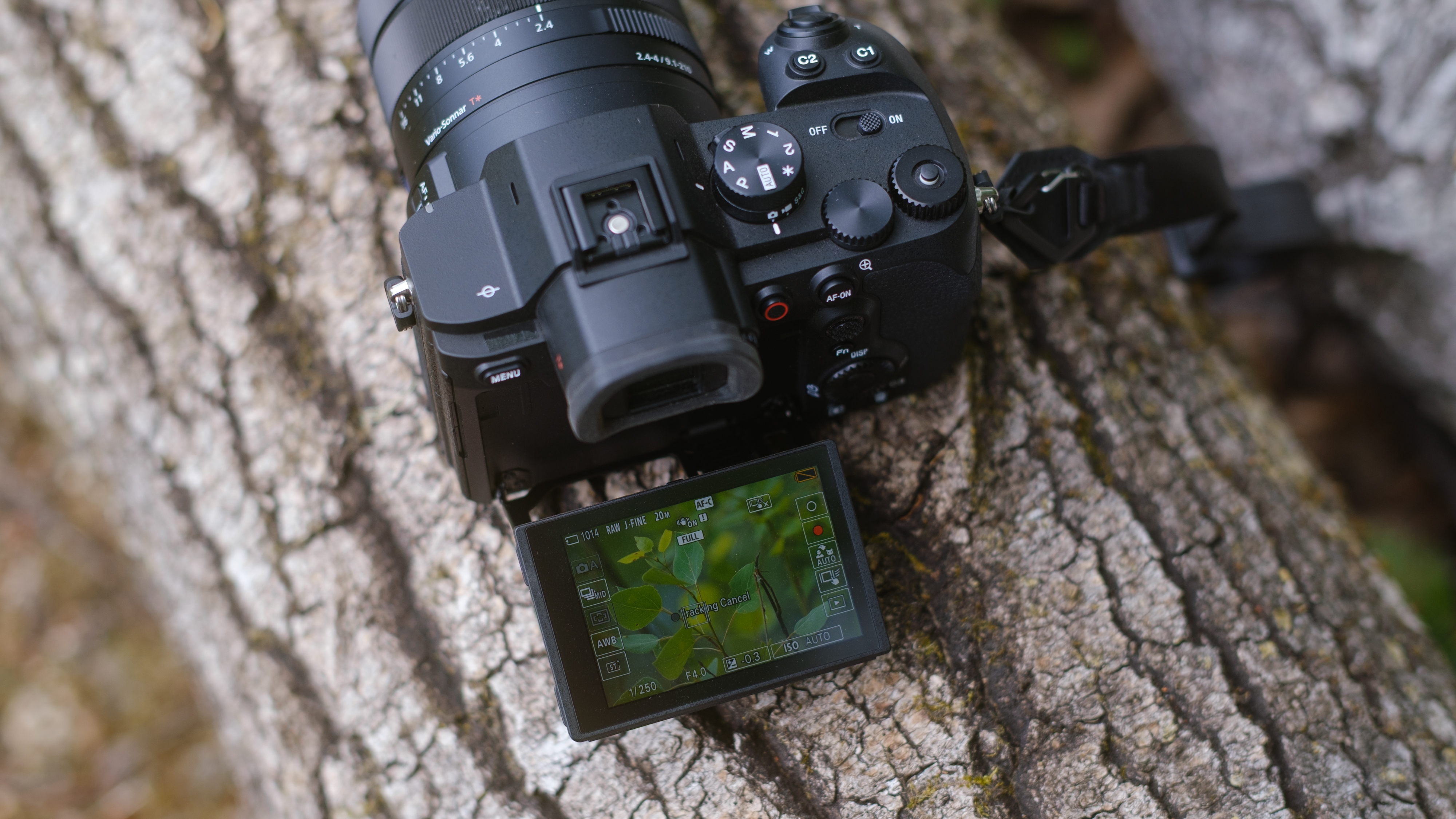 The Sony RX10 photographed outdoors