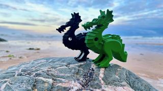 Spilled Lego from the Tokio Express included tens of thousands of dragons, making them a common sight on Cornwall beaches.