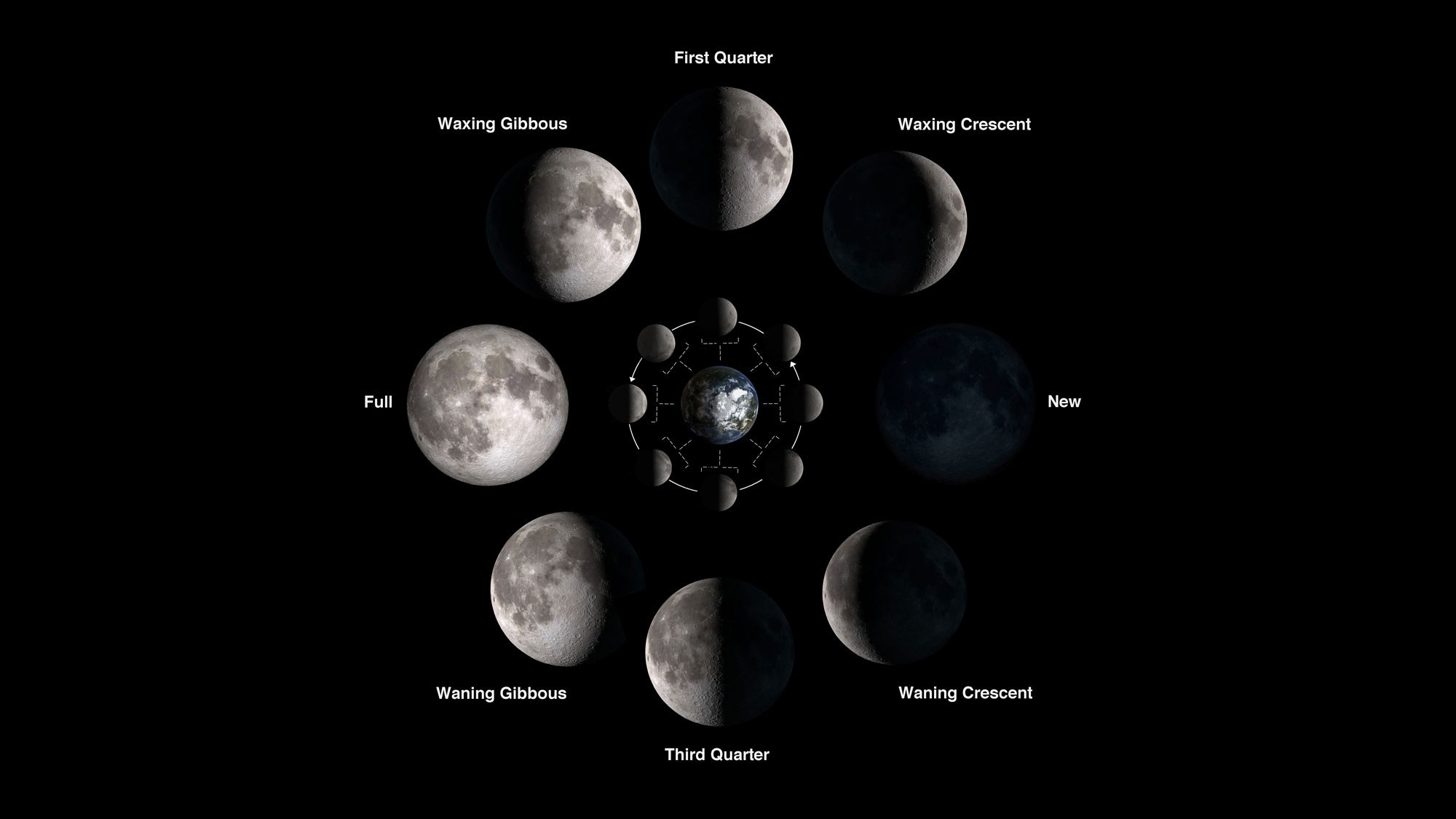 Phases of the moon