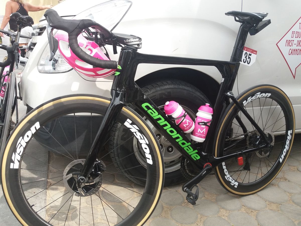 At the rear end of the bike, the frame features low and flared seat stays