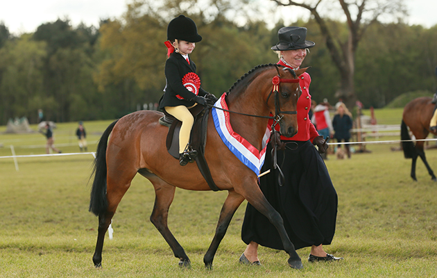 Open Mini SP Championship champion 123 Whiteleaze Secret Temptation R: Millie Davies H: Julie Templeton
