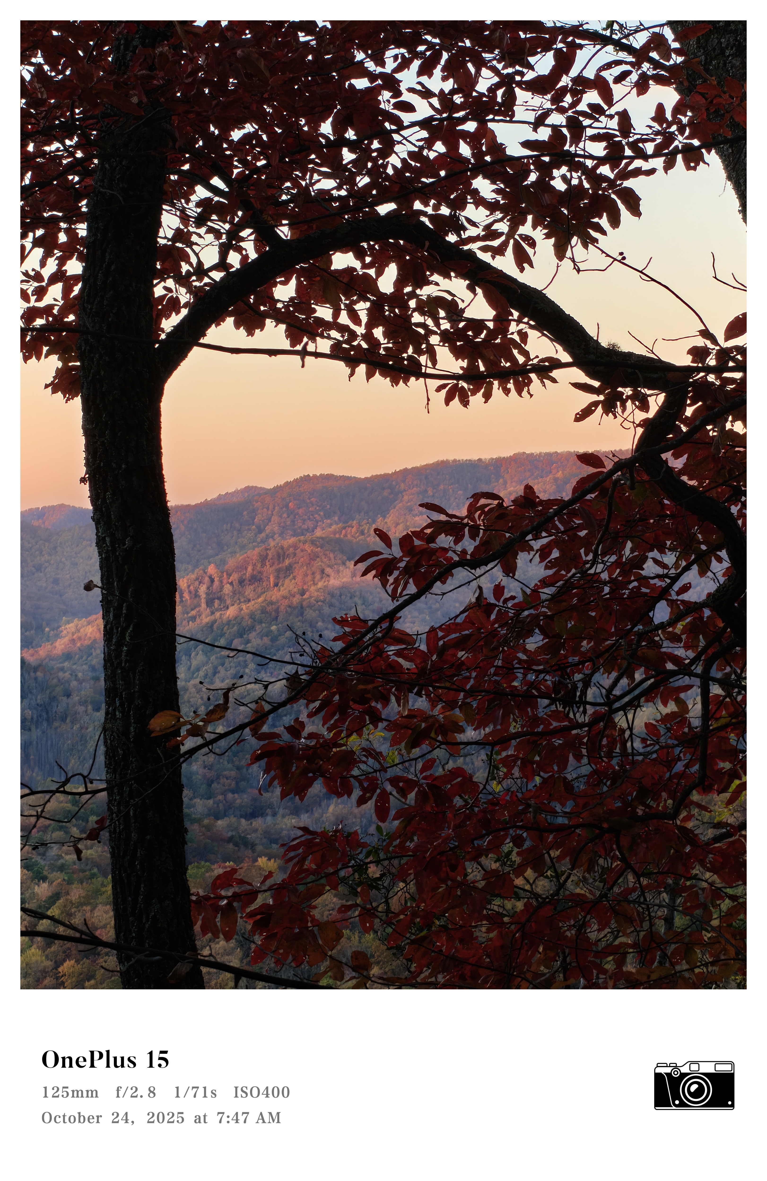A photo of Fall foliage in the mountains, captured with a OnePlus 15