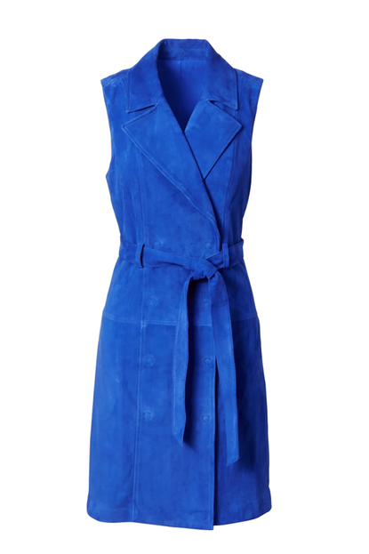 Banana Republic Suede Shift Dress