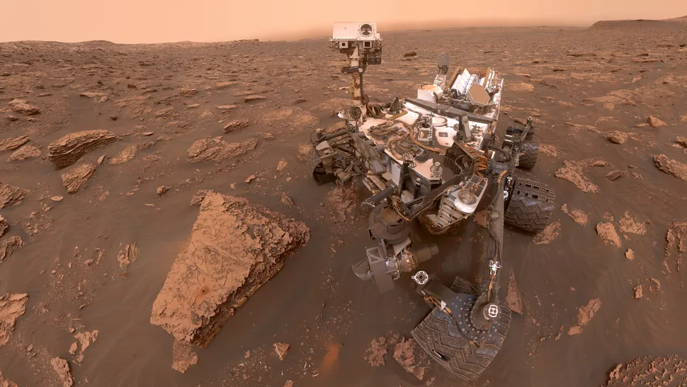 Curiosity — image 4