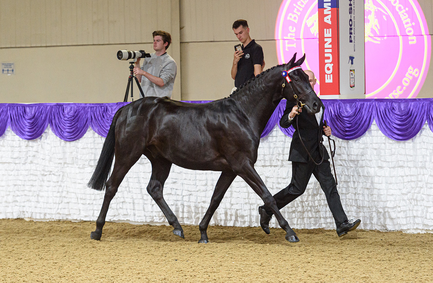 Ian Boylan and OSO POL ROGER - BHSA National Championship Show 2021