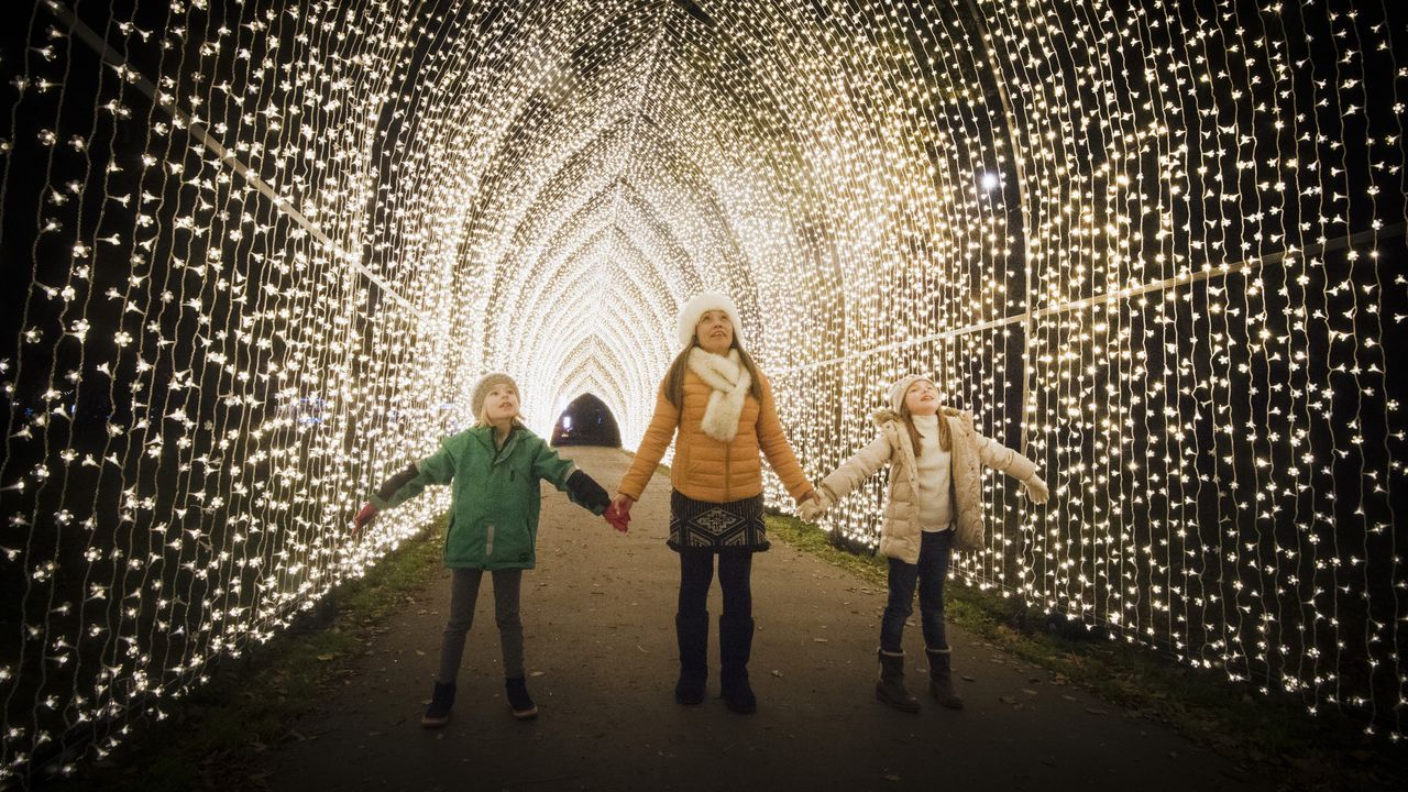 Christmas light trails