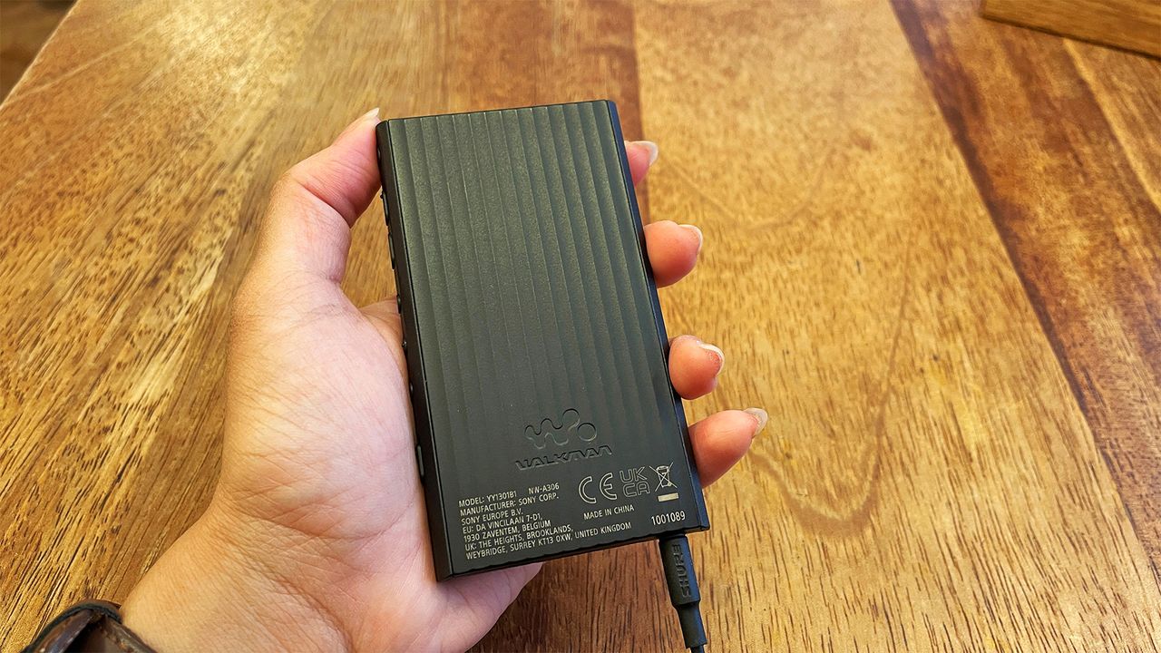Portable music player: Sony NW-A306