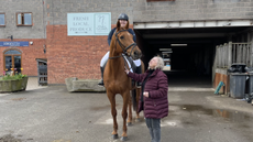 Salvation aka Humpty with Alison Kenward on board at a show