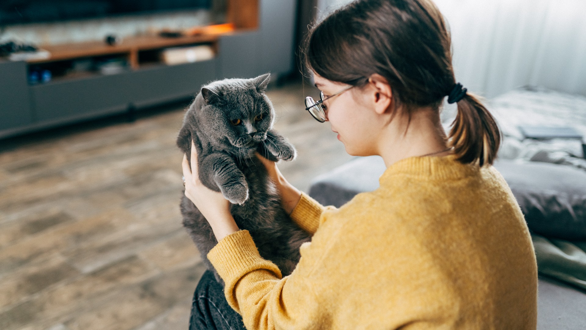 a child plays with their cat