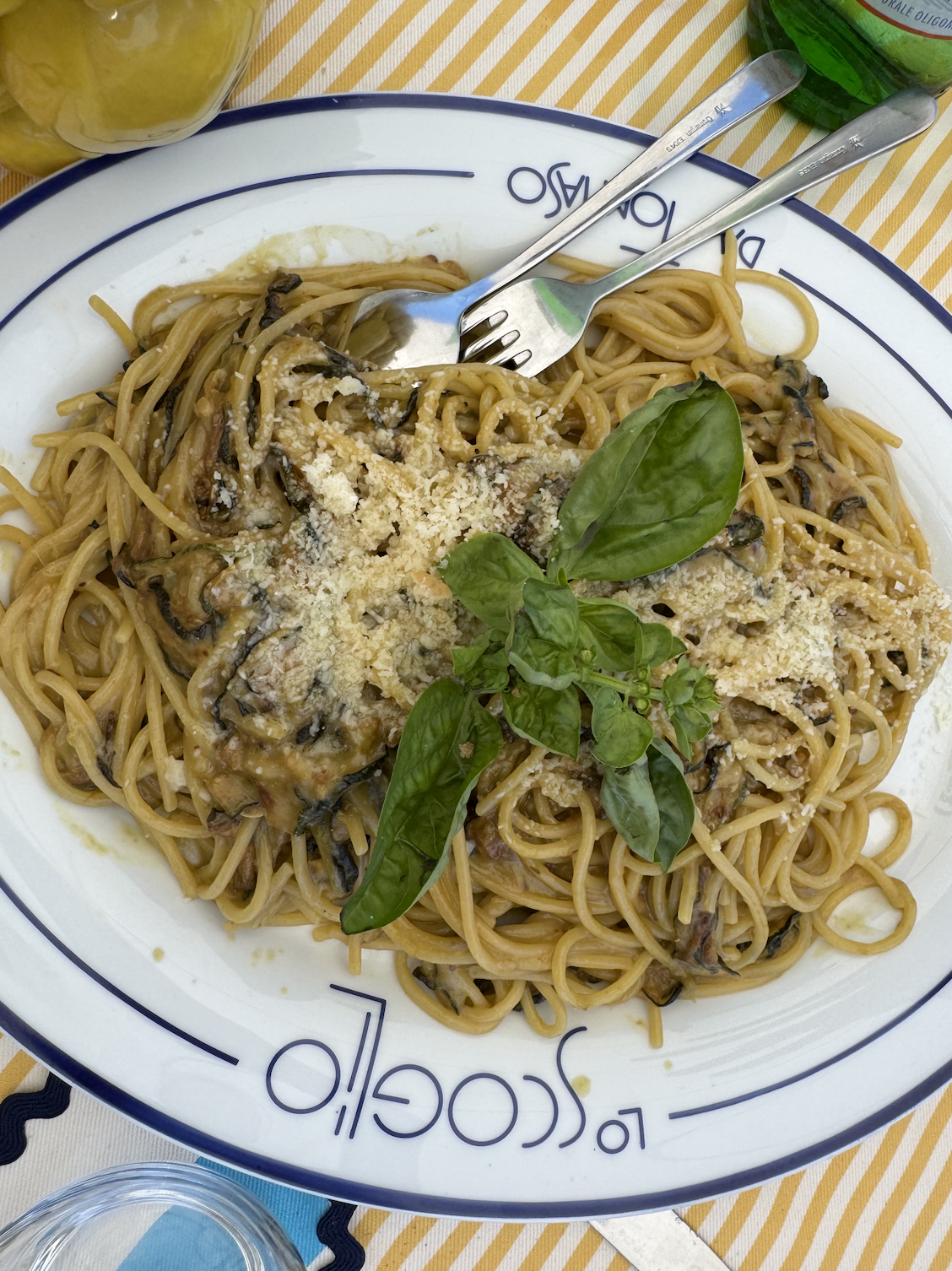 A large plate on pasta topped with cheese and basil