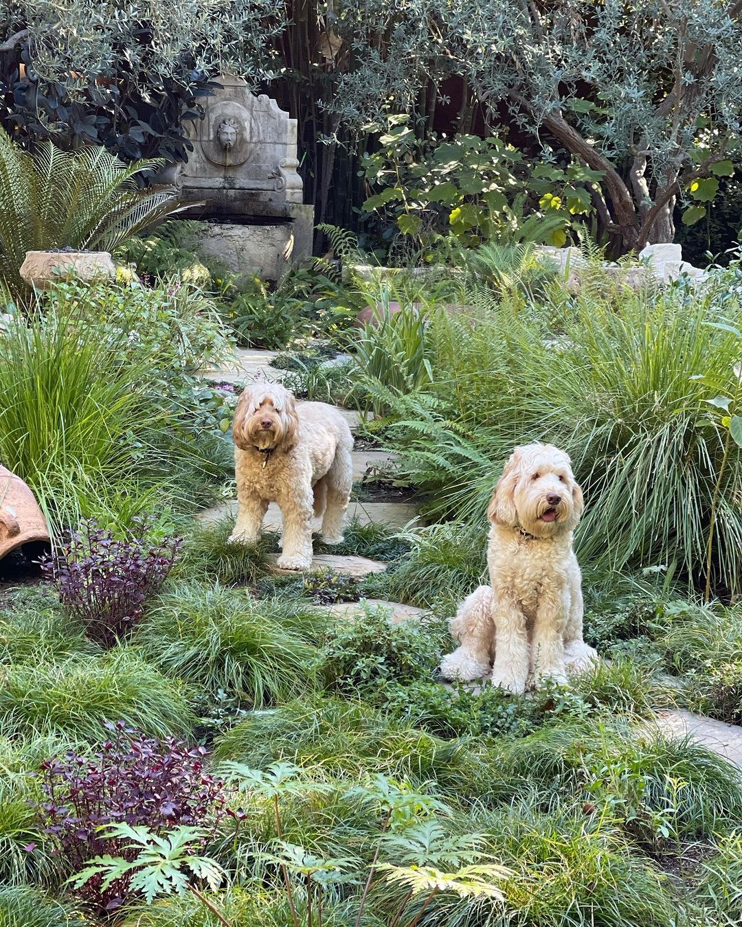 halle berry's backyard paving
