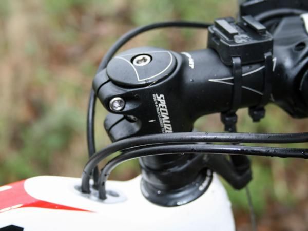 Specialized Transition Expert