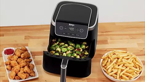 The Ninja 4-in-1 5-qt Nonstick Air Fryer Pro