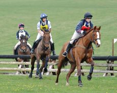 FERNIE TEAM CHASE