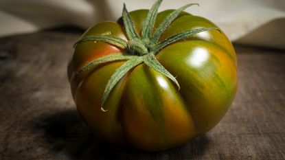 greenish streaked variety of tomato, isolated on wooden table 