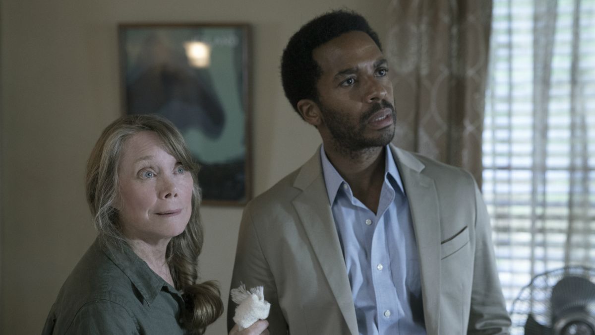 Hulu's Castle Rock TV Show Combines JJ Abrams, Stephen King —Comic-Con –  IndieWire