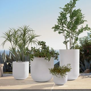 indoor outdoor planter