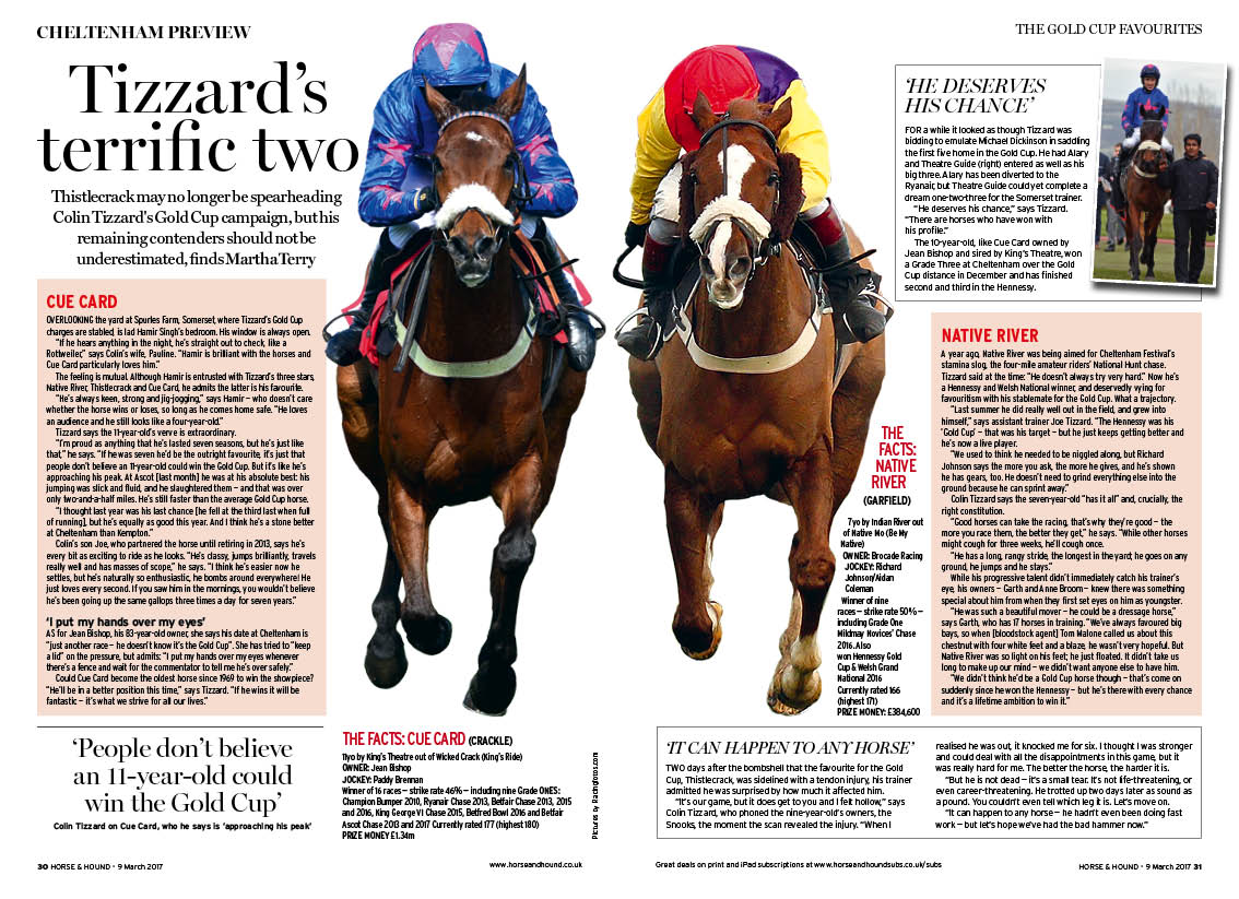 CHELT-PREVIEdgbxdgW-2pp-Tizzard-featur.jpg