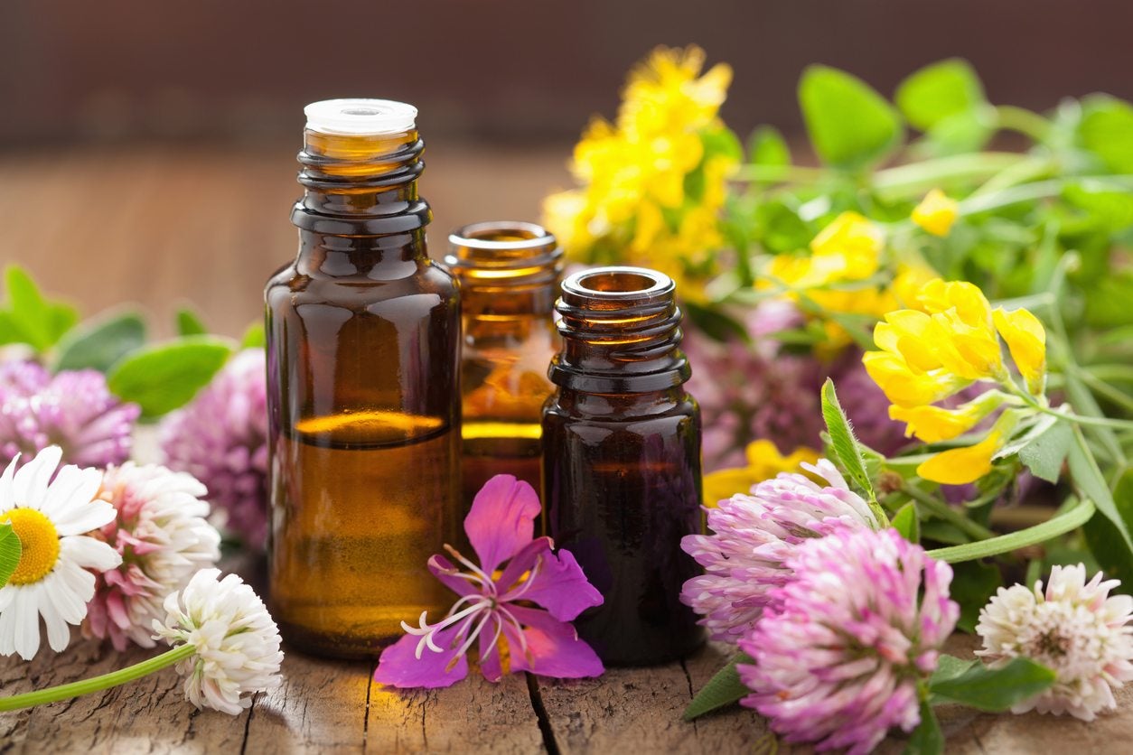 Benefits Of Aromatherapy - Information On The Use Of Aromatherapy In  Gardens | Gardening Know How