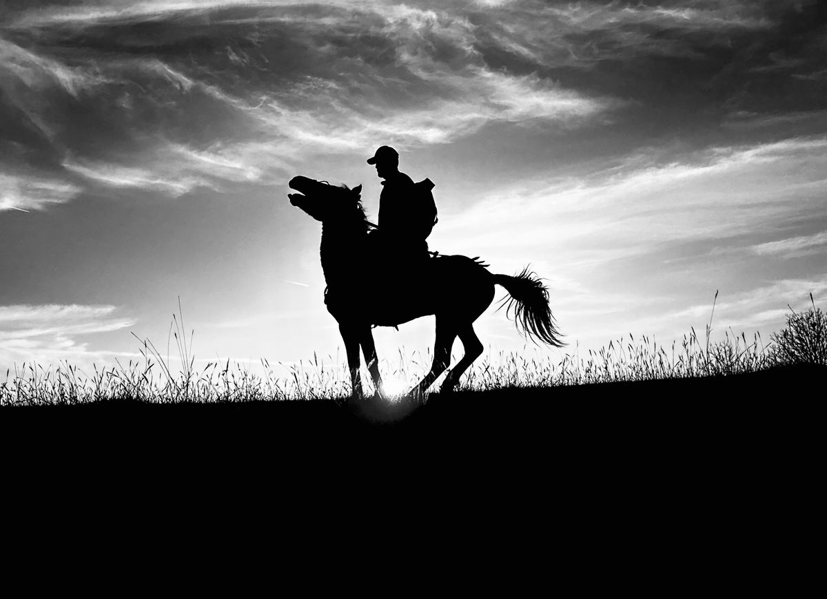 GuruShots - Powerful Black &amp; White Jan 26