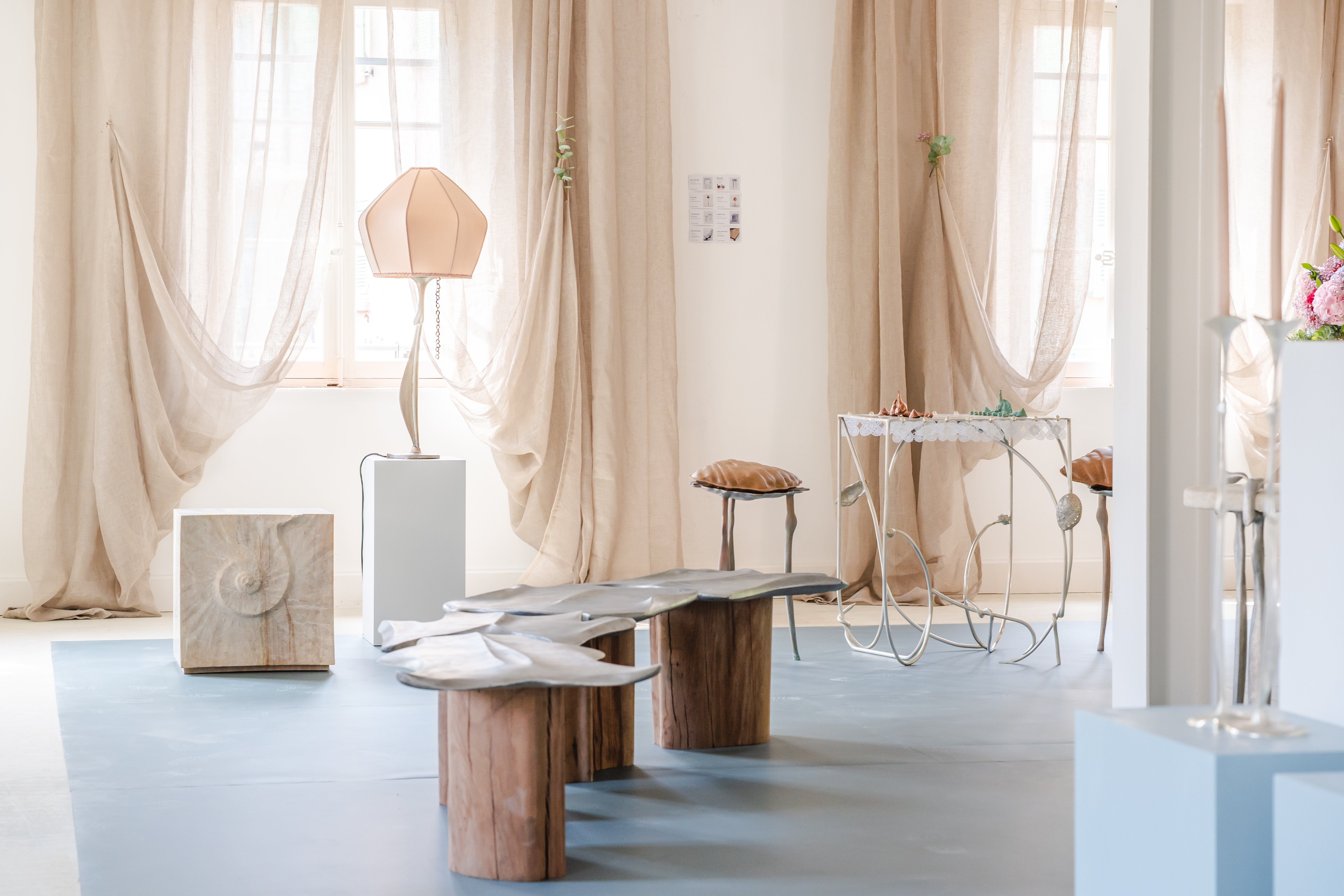 Furniture by Shaha Raphael inspired by seashells