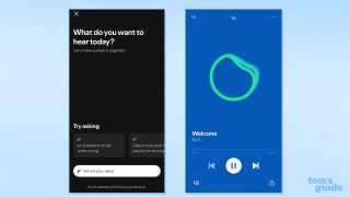 Screenshot of Spotify's in-app AI features