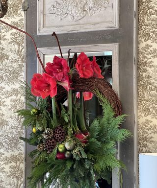 Close-up of amaryllis wreath with evergreen foliage and dried lotus heads