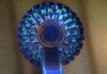 vday_rosettes.jpg