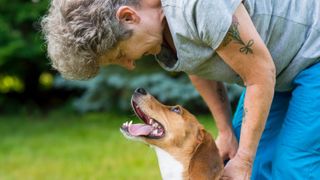 Dog gazing lovingly at owner