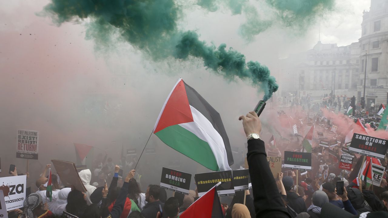 Pro-Palestine protestors at a demonstration in central London