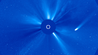 A comet is pictured in coronagraph data flying past the sun.