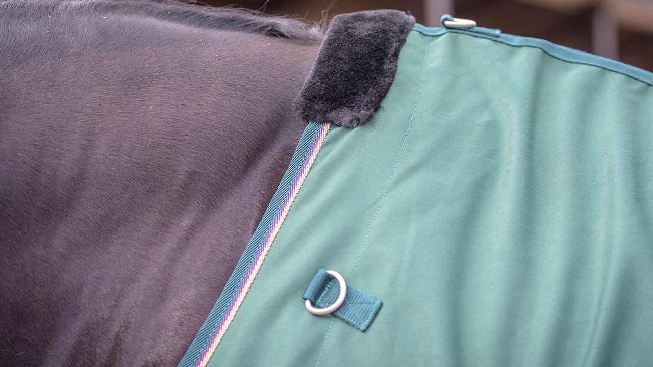 Kensington All Around day sheet review
