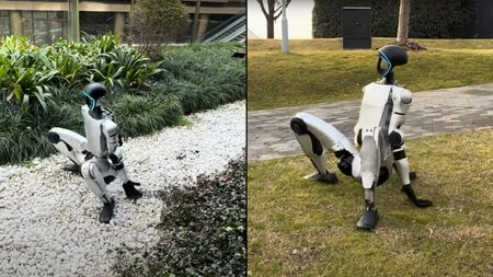 Still images of the human-like robot sitting on grass.