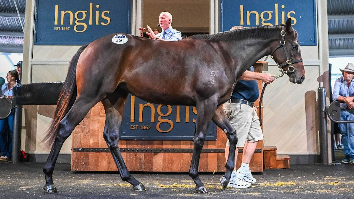 Winx filly