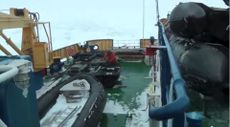 Mawson expedition