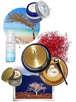 Liquid, Aqua, Tints and shades, Cosmetics, Circle, Turquoise, Silver, Glitter, Skin care, Face powder,