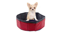 Petilleur Foldable Pet Paddling Pool | 30cm x 10cm | £9.99