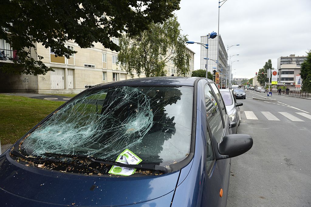 Airborne turtle breaks windshield. 