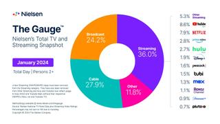 Nielsen's The Gauge january 2024 breakdown of viewing on TV