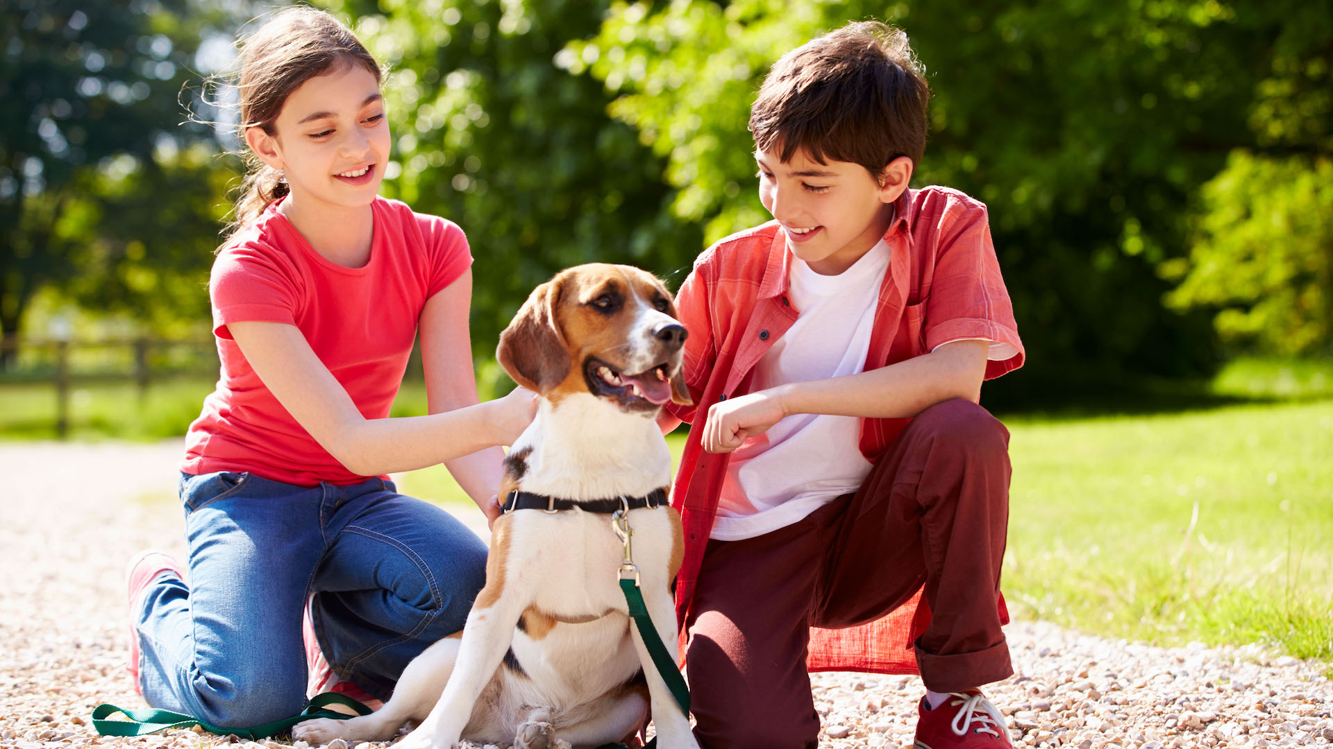 two children looking after dog
