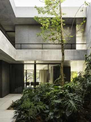 Concrete open space with green plants