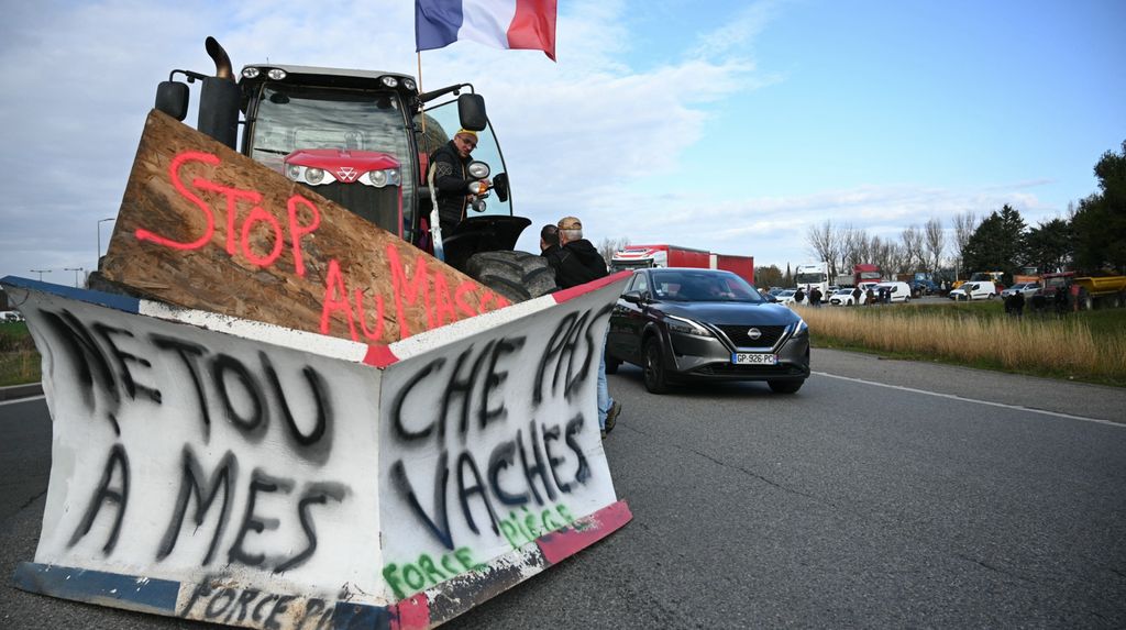 ‘Lumpy skin’ protests intensify across France as farmers fight cull ...