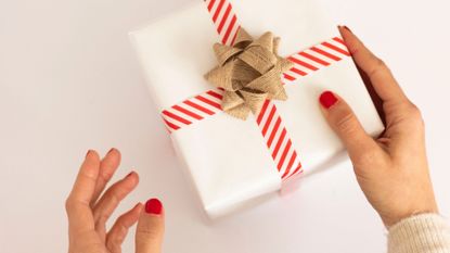 Person holding a gift