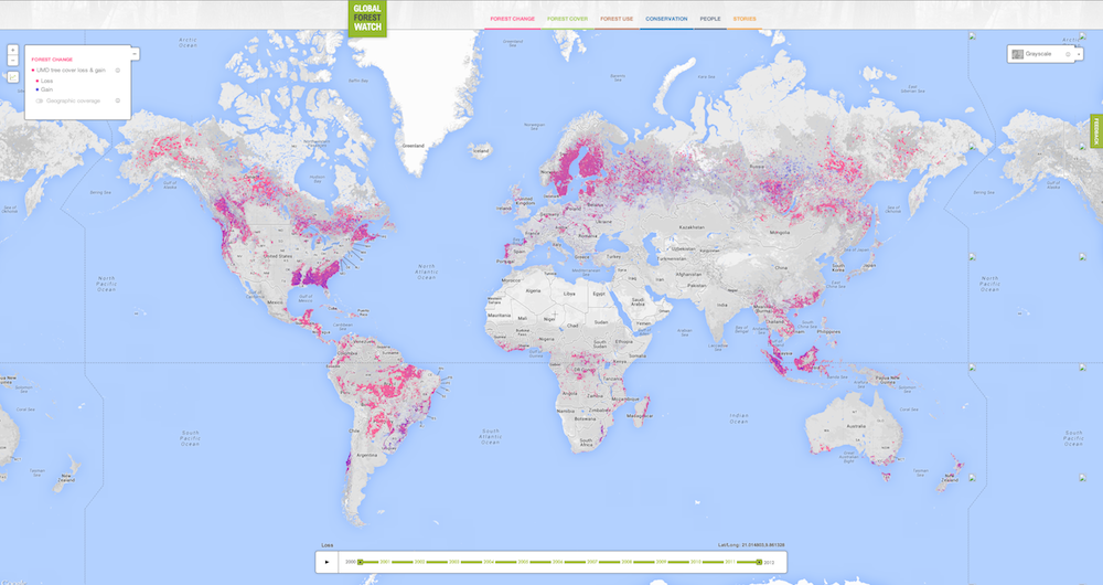 global forest watch map