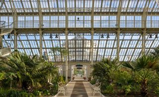 Donald Insall Associates restore Kew Gardens' iconic Temperate House