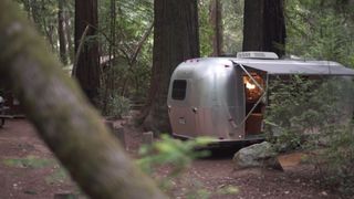 Motor vehicle, Natural environment, Tree, Vehicle, State park, Forest, Travel trailer, Woodland, Plant community, Woody plant,
