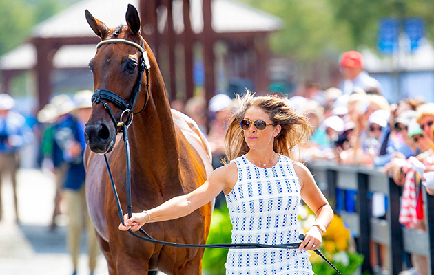 WEG eventing trot-up fashion