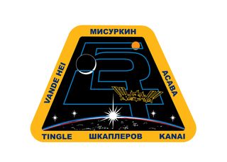 Expedition 54 insignia