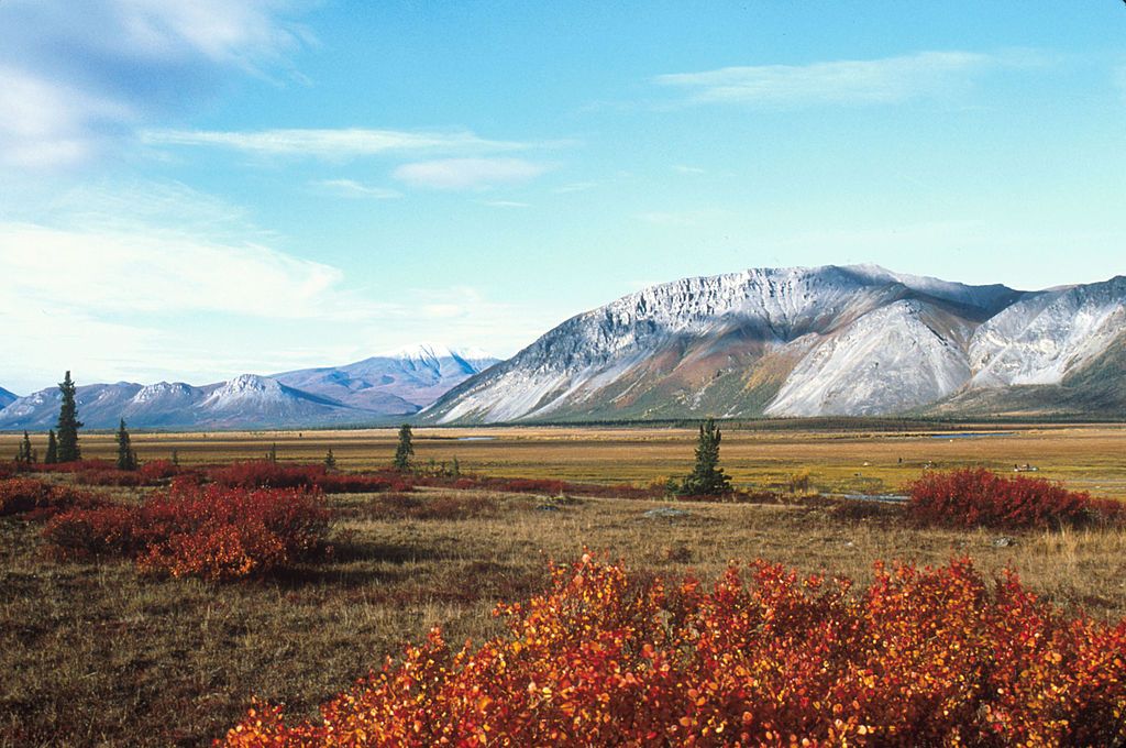 Alaska&amp;#039;s Arctic National Wildlife Refuge