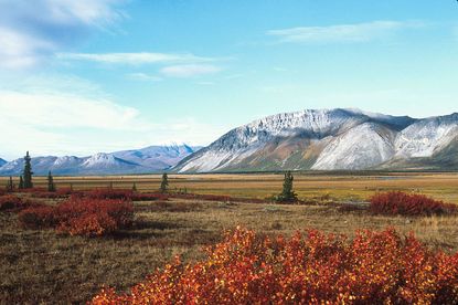 Alaska's Arctic National Wildlife Refuge